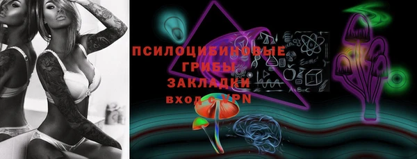 а пвп мука Абаза