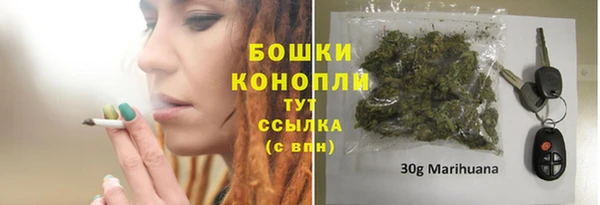 стаф Ветлуга