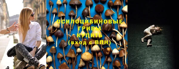 2c-b Абинск